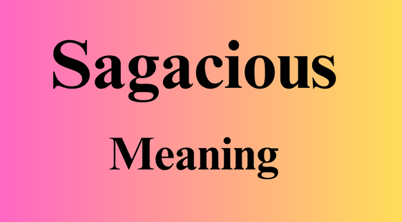 Sagacious meaning in Urdu